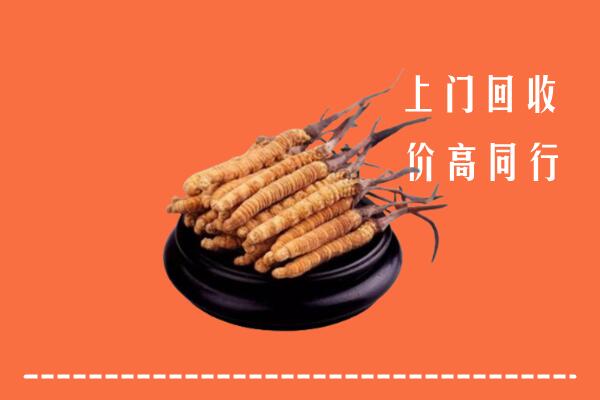 高价求购：根河市回收散虫草